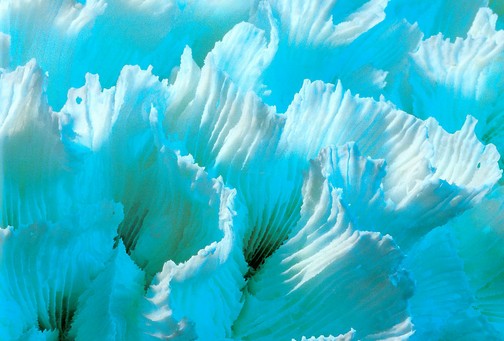 大话神仙玉珊瑚