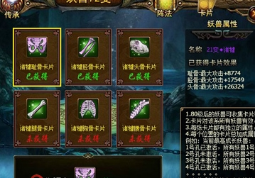 �����޹ǿ�Ƭ