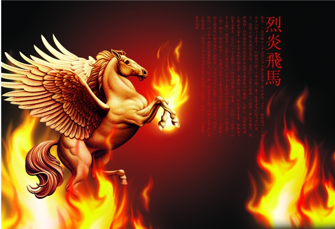 烈焰高级内功技能书