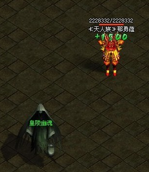 ������˵