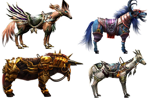 ������˵