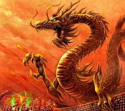 ������˵