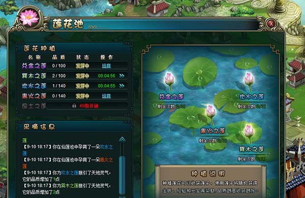 ��������,������������