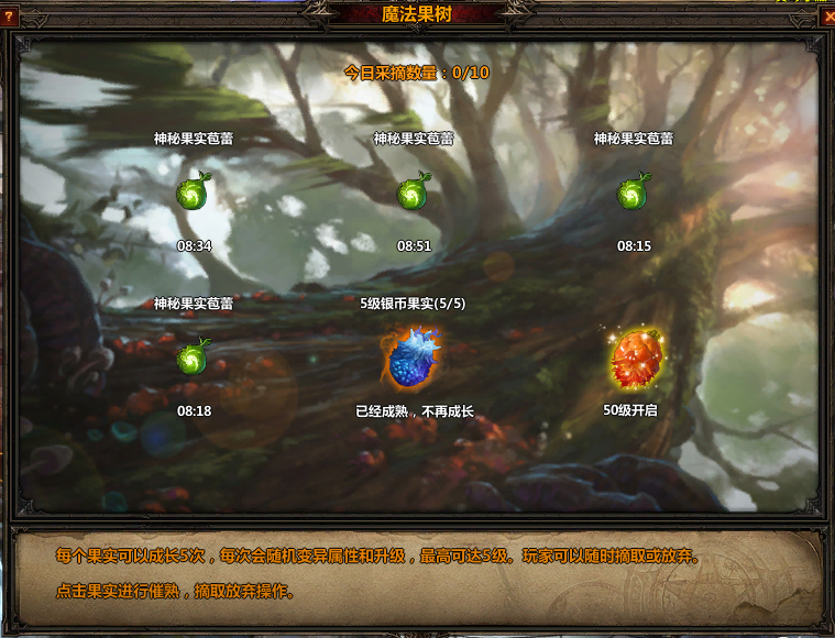 ħ����������