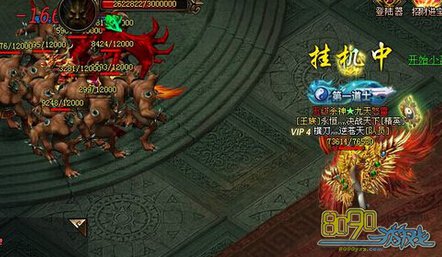 ������˵