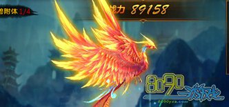 ����ѡ��