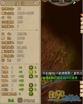 RO��ҳ��ʲô������������