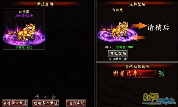 �񶷽���,���������ô�� 