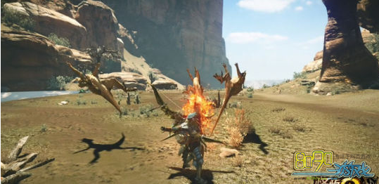 怪物猎人ol砾石