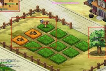 忍者疾风传,花园农场