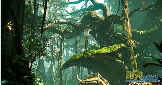 ��������olΪʲô�Ҳ���ÿ�յ�¼������