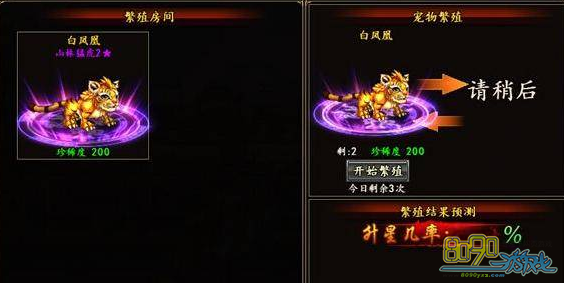 �񶷽������ﷱֳ 