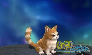 ���꽭����è