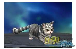 ���꽭���е���è���׸�������