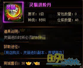 ���꽭����è���׵�