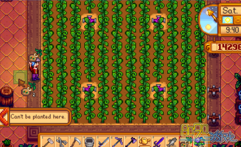 温室木头上种果树