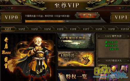 ������ѧVIP10