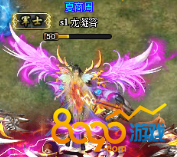 ���̽���Ч��