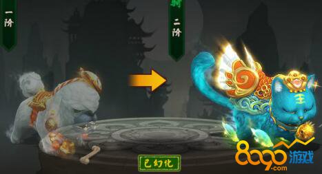 ����Ⱥ����