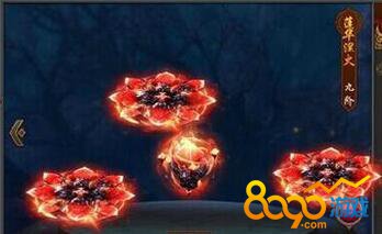 ����Ⱥ����