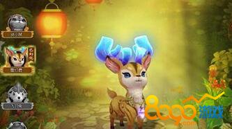 ����Ⱥ����