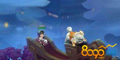 ����Ⱥ����