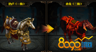 ��ǹ��������������