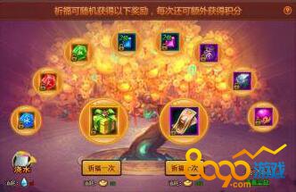 ����Ⱥ����