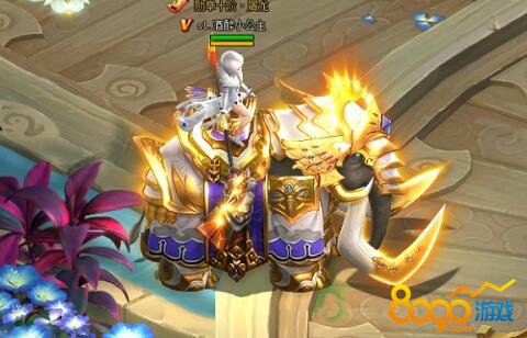 ����Ⱥ����