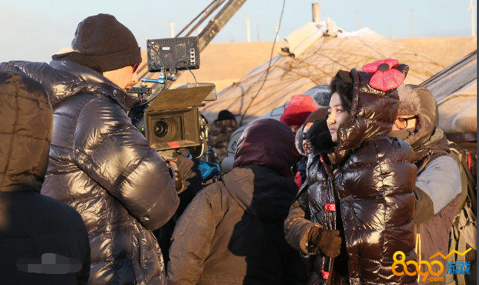 �����ƻ�Ƥ�ӷ�