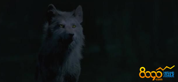 初代吸血鬼第五季13集大结局