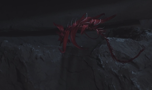 ɳ��31����β����������ֵĺ컨��ʲô 31����β�컨�ǲغ���